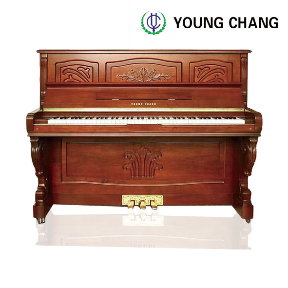 YOUNG CHANG 121NFI