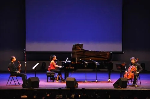 旅意华人女钢琴家黄爱莲：从北京到“波色太浓”